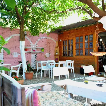 Zig Zag Albergue Tirana