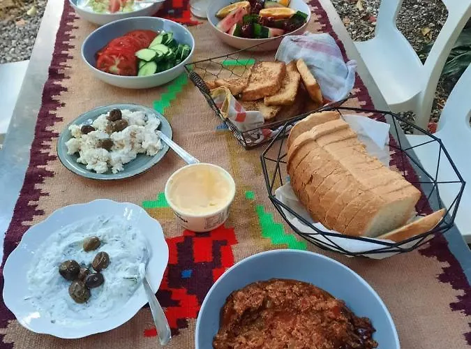 Hostel Zig Zag Tiran