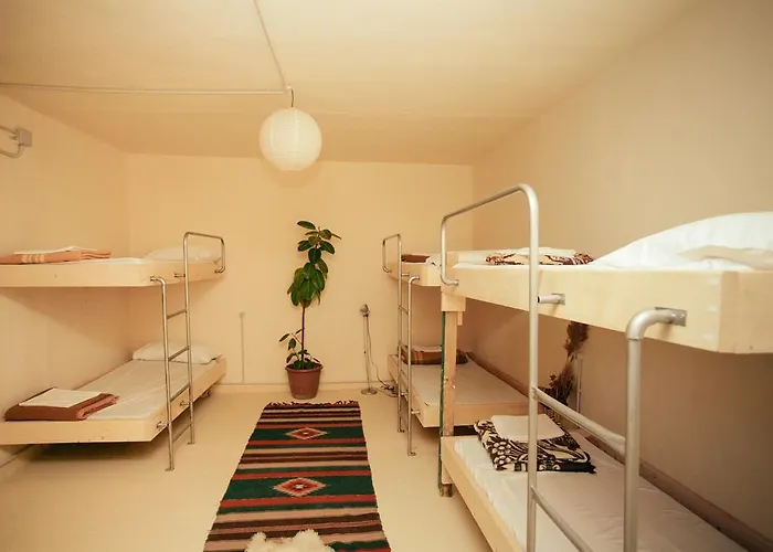 ジグ ザグ ホステル *